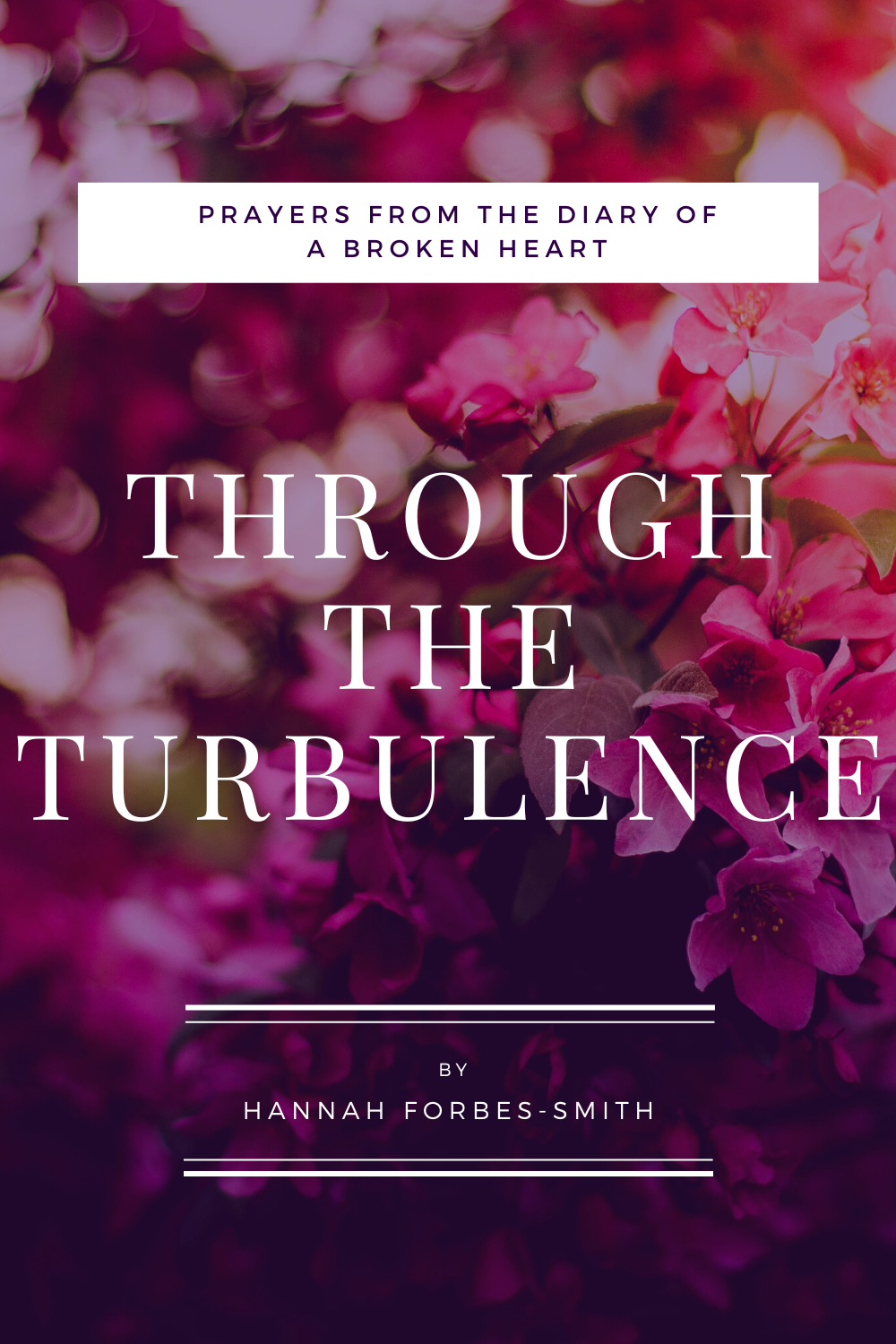 Through the Turbulence: Prayers from the Diary of a Broken Heart